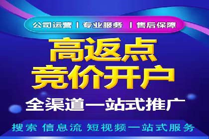 百度SEM代运营案例揭秘，如何实现ROI最大化